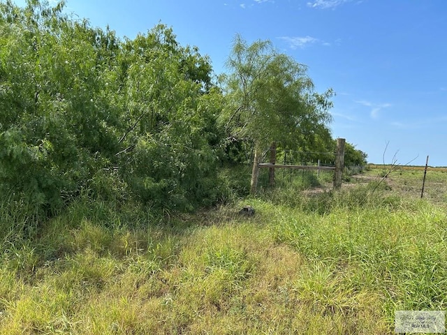36661 Perez Rd, Bayview, TX 78566