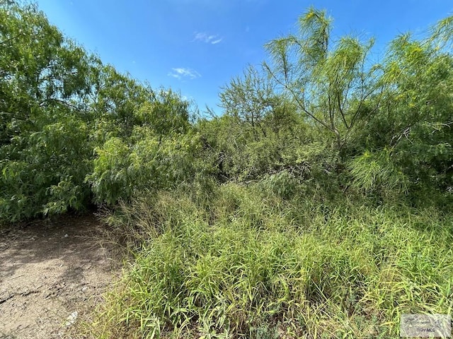 36661 Perez Rd, Bayview, TX 78566