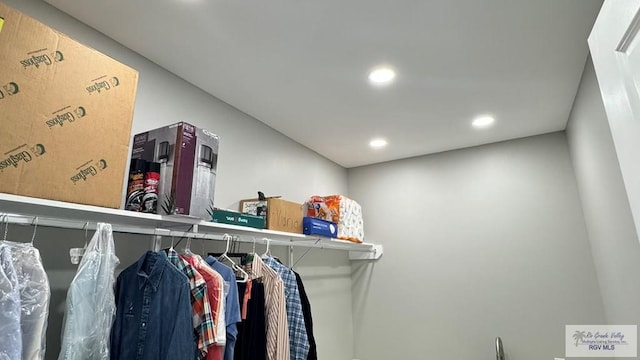 view of spacious closet