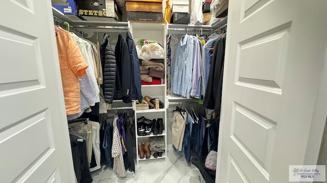 view of spacious closet