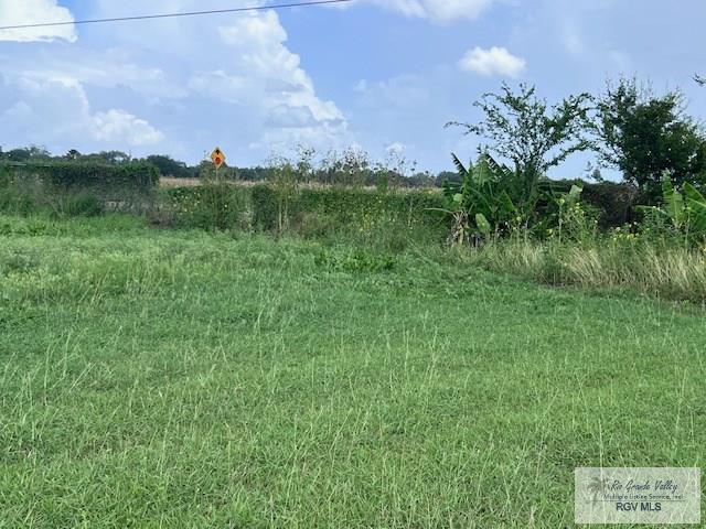 1056 E Mile 11, Weslaco, TX 78599 - view of local wilderness