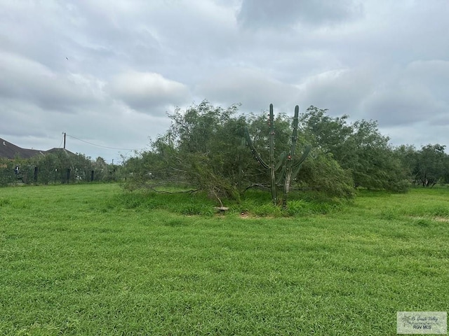 Listing photo 2 for 000000 Fm 1847, Rio Hondo TX 78583