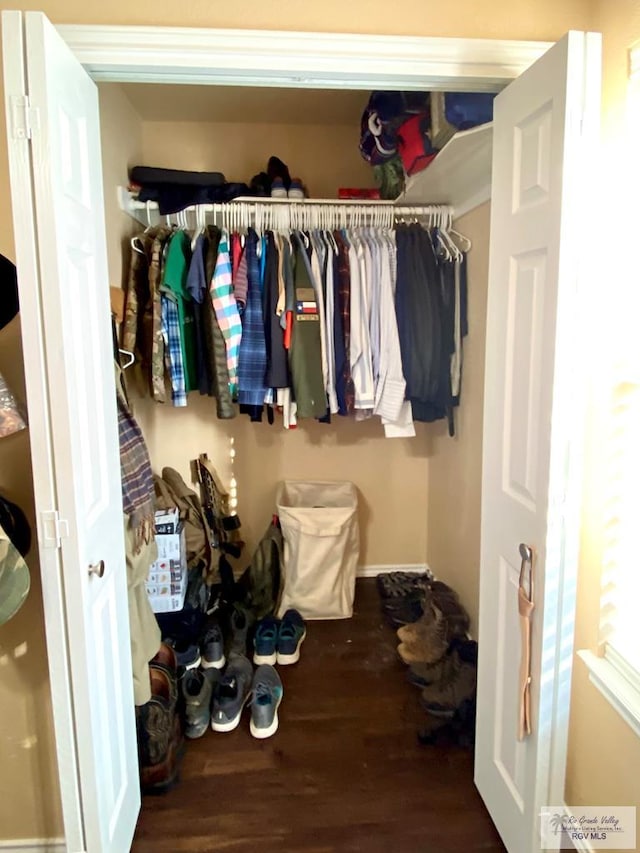 view of closet