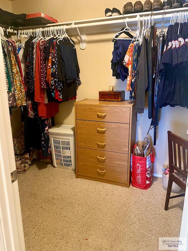 spacious closet featuring carpet floors