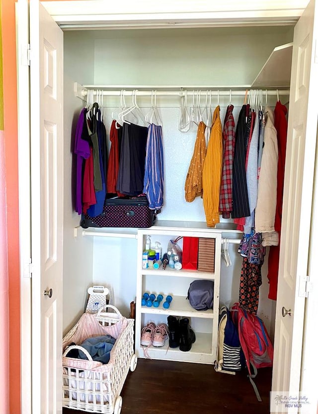 view of closet