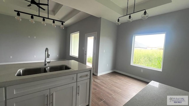 2517 S Christian Cir, Harlingen, TX 78550 - kitchen with rail lighting, a raised ceiling, hanging light fixtures, and light wood-style flooring