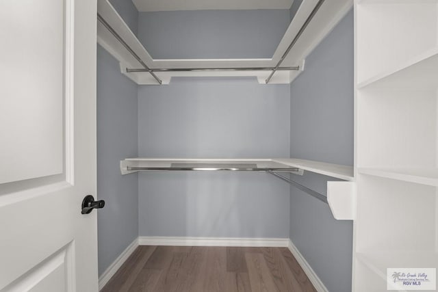 walk in closet with dark wood-type flooring and built in desk