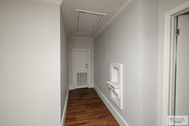 718 Pierce Ave, Harlingen, TX 78550 - hall with attic access, ornamental molding, and dark wood finished floors