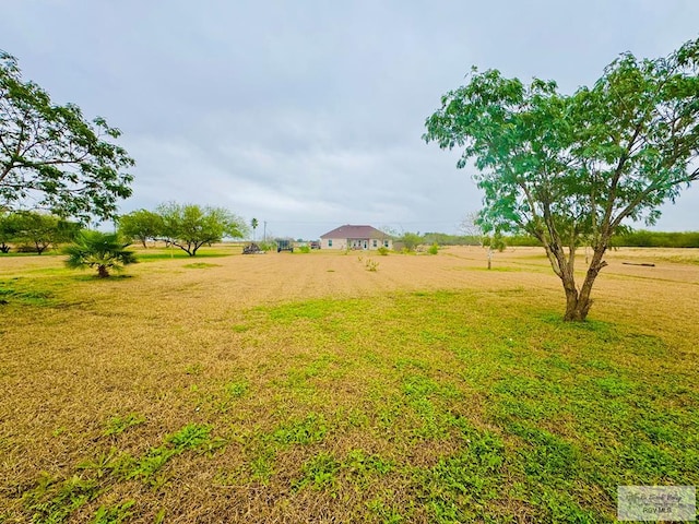 view of yard with a rural view