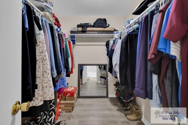 walk in closet featuring light wood-type flooring