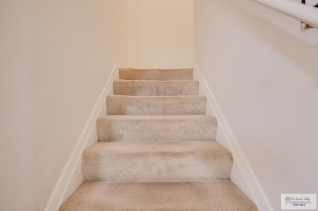 stairs with carpet flooring