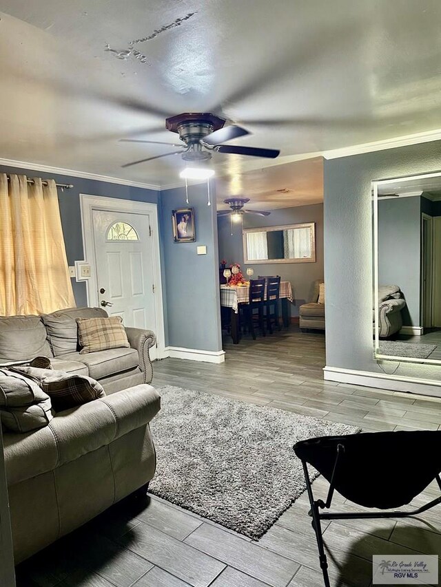 1528 Monclova Dr, Brownsville, TX 78521 - photo 11
