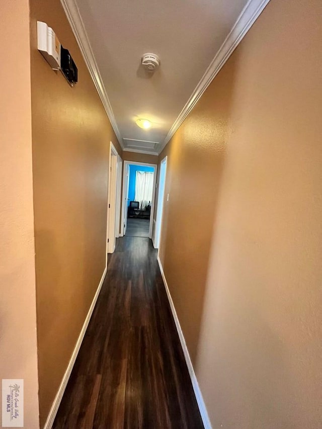 hallway featuring dark hardwood / wood-style floors and crown molding