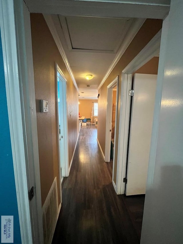 corridor with dark hardwood / wood-style floors and ornamental molding