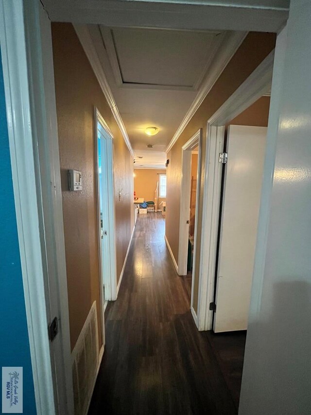 corridor with dark hardwood / wood-style floors and ornamental molding