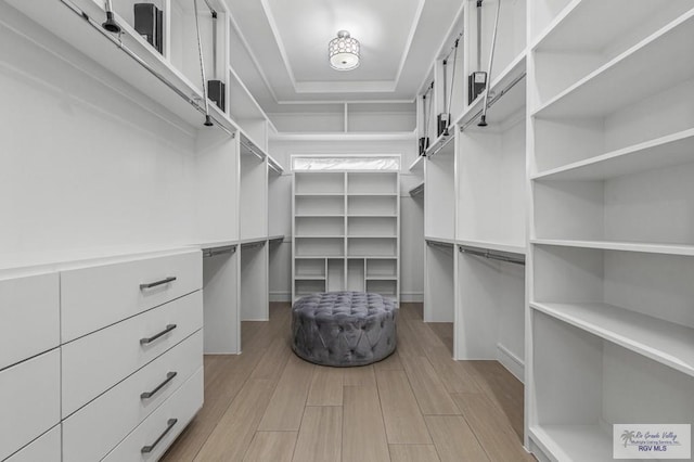 47 Medical St, Brownsville, TX 78520 - walk in closet featuring light wood-type flooring and a tray ceiling