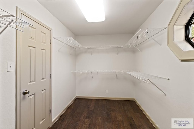 spacious closet with dark hardwood / wood-style floors