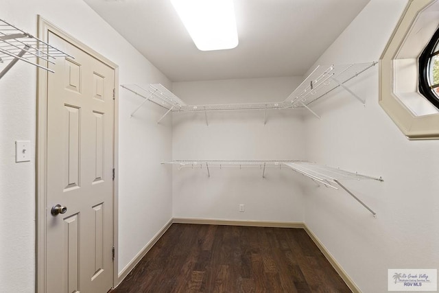 9 Sunshine Pl, Brownsville, TX 78526 - spacious closet with dark wood-type flooring
