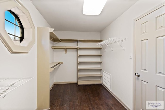 spacious closet featuring dark hardwood / wood-style flooring