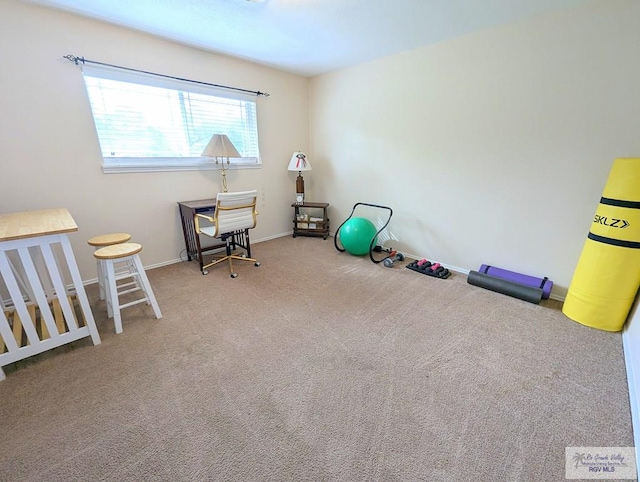 workout area with carpet flooring