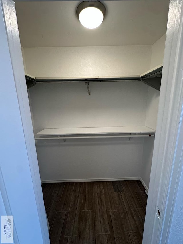 walk in closet with dark hardwood / wood-style floors