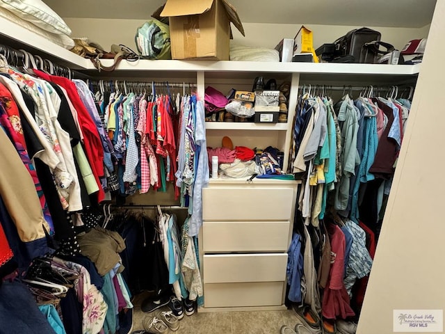 view of spacious closet