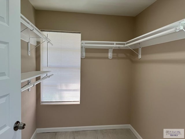 walk in closet with light wood-style flooring