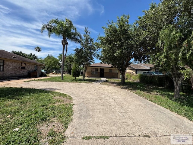 view of front of house with curved driveway and a front lawn