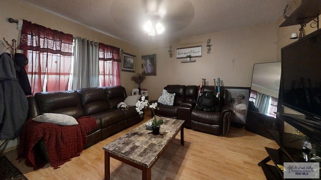 living area featuring a textured ceiling and wood finished floors