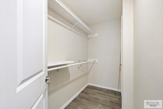 6956 Austrian Pne, Brownsville, TX 78526 - photo 6
