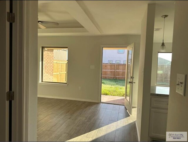 doorway featuring dark hardwood / wood-style flooring and a tray ceiling