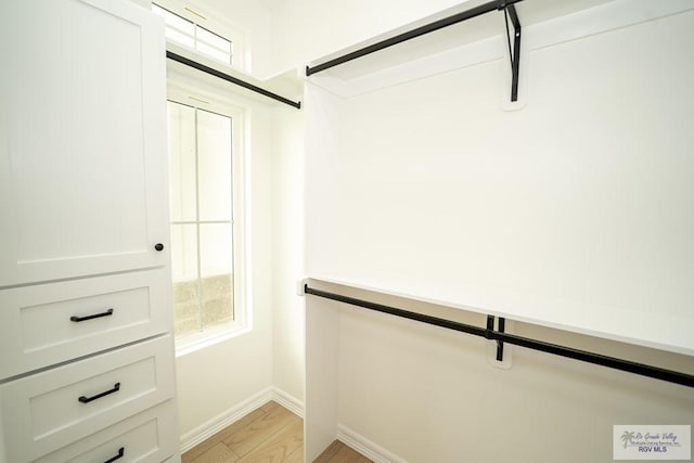 2409 Brown Pelican Ln, Harlingen, TX 78552 - spacious closet featuring light wood-type flooring