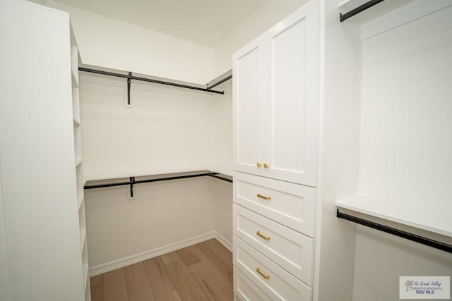 2409 Brown Pelican Ln, Harlingen, TX 78552 - spacious closet featuring light wood-style floors