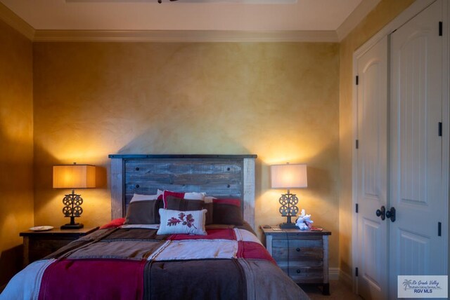 4329 Waters Edge, Harlingen, TX 78550 - bedroom with a closet and crown molding