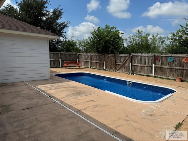 view of swimming pool with a patio