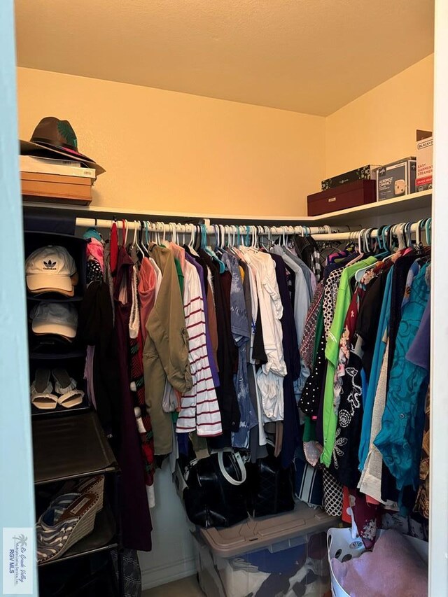 view of spacious closet