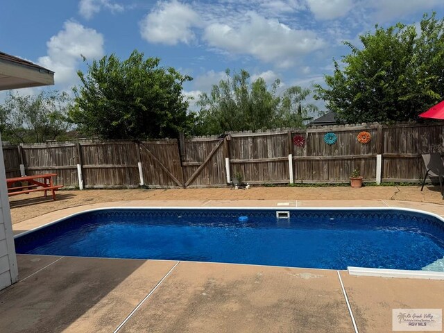 view of swimming pool with a patio area