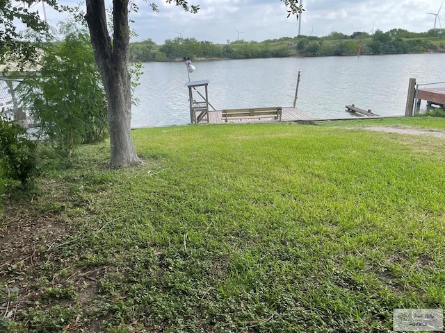 33299 Fm 2925, Rio Hondo, TX 78583 - photo 5