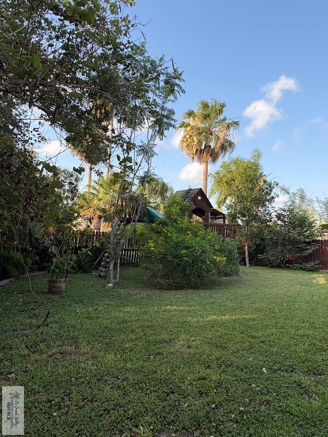 901 Plantation St, Brownsville, TX 78526 - view of yard