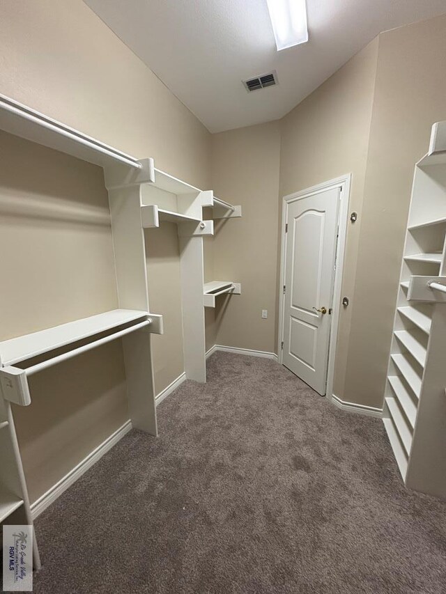 901 Plantation St, Brownsville, TX 78526 - spacious closet with carpet floors