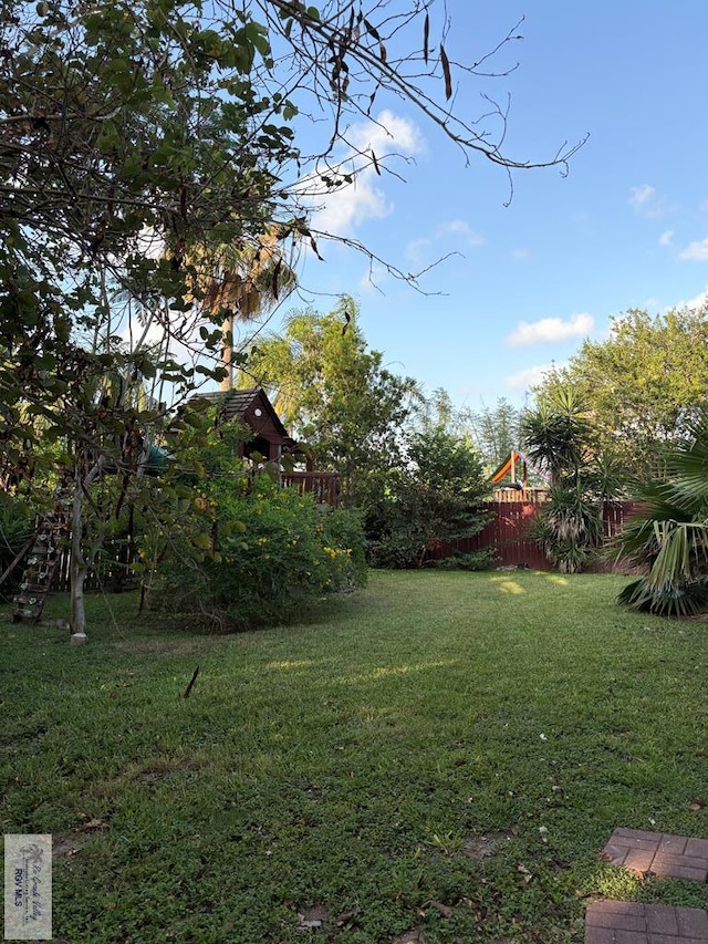 901 Plantation St, Brownsville, TX 78526 - view of yard