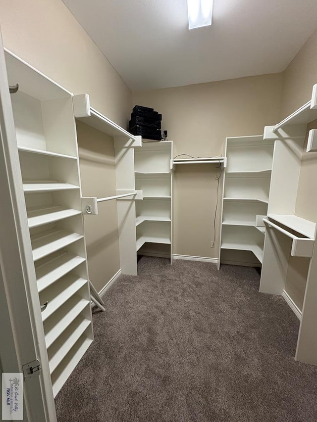 901 Plantation St, Brownsville, TX 78526 - walk in closet featuring carpet