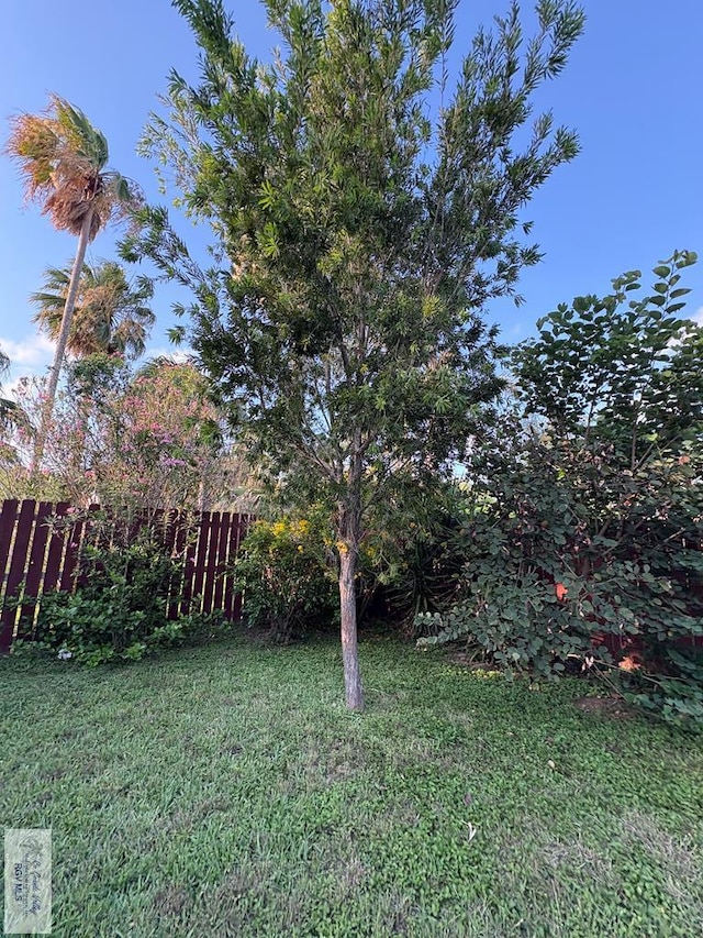 901 Plantation St, Brownsville, TX 78526 - view of yard