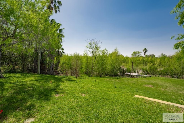 3050 Gamble Rd, San Benito, TX 78586 - photo 33
