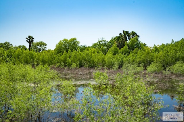 3050 Gamble Rd, San Benito, TX 78586 - photo 51