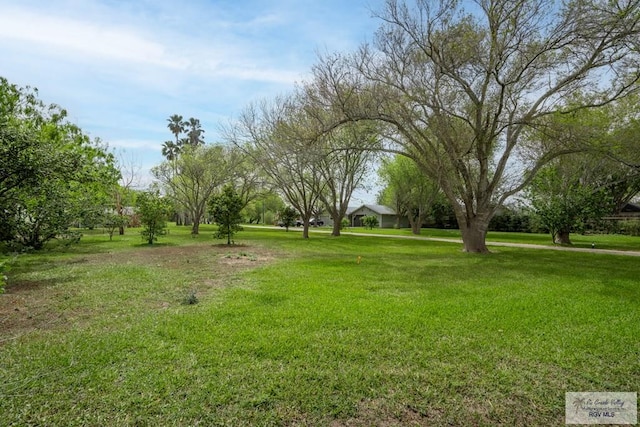 3050 Gamble Rd, San Benito, TX 78586 - photo 38