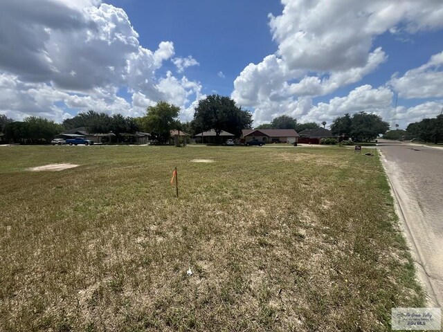 1101 S Willow St Lot 3, La Feria, TX 78559 - photo 2