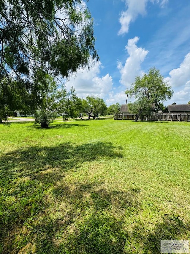 1201 Ben Lora Ln, San Benito, TX 78586 - view of green lawn