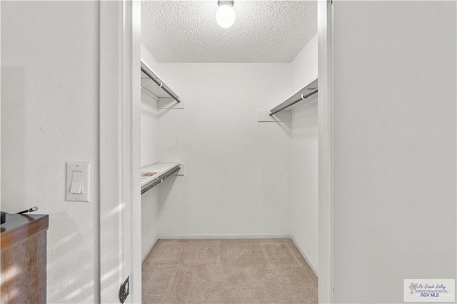 22 Shenandoah River Dr, Brownsville, TX 78520 - spacious closet with light carpet