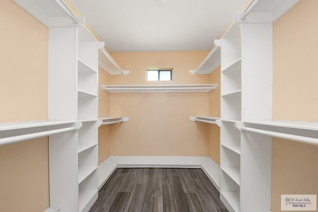 3673 Rey Enrique Dr, Brownsville, TX 78521 - spacious closet featuring dark wood-type flooring